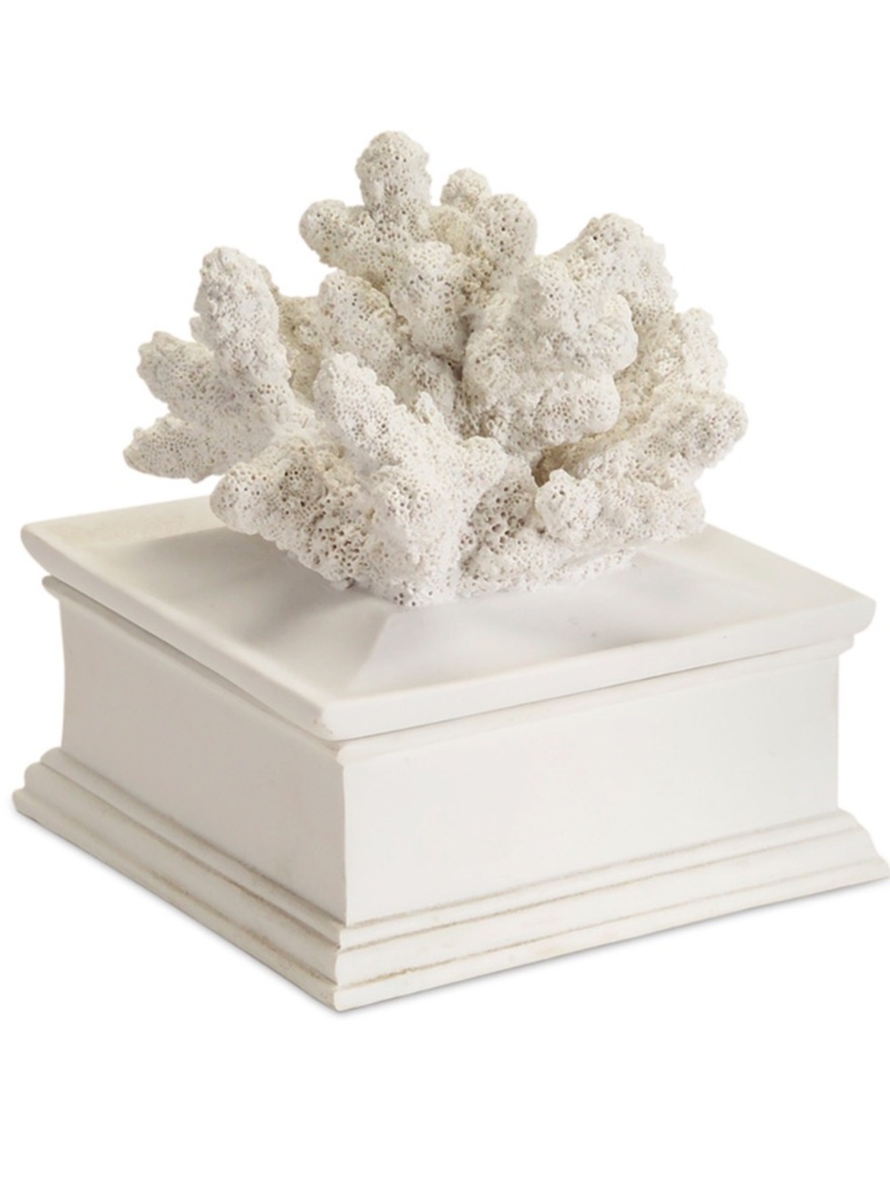 NEW White Coral Trinket Box